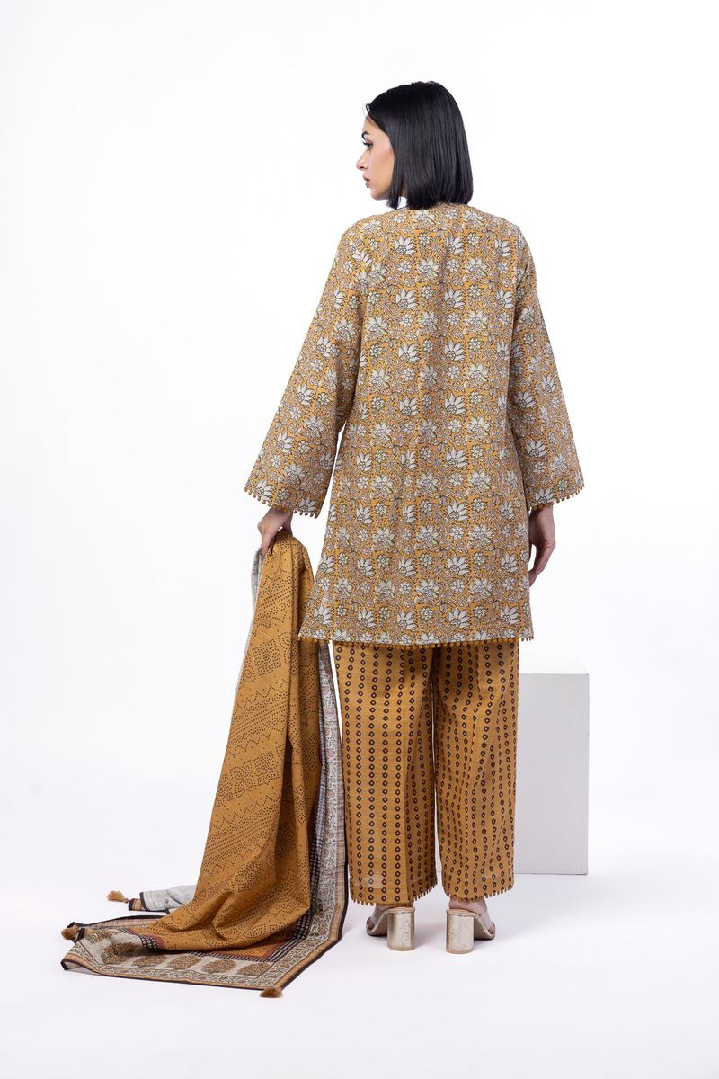 Printed | Textured Cotton | Tailored 3 Piece | USD 45.00