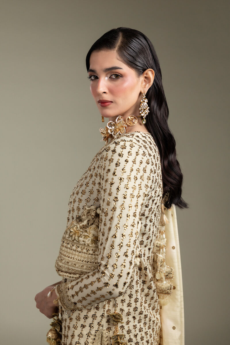 Embroidered | Raw Silk | 3-Piece Co-ord Set | USD 200.00