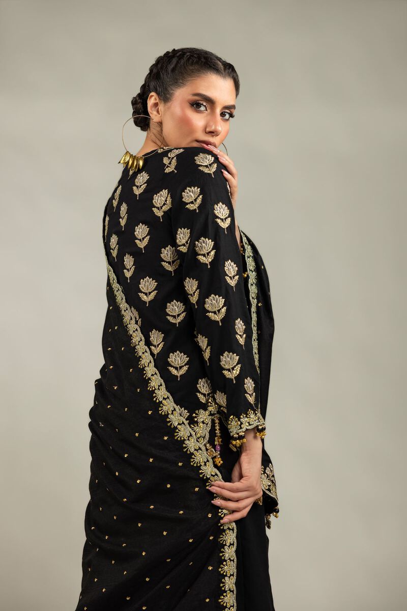 Embroidered | Raw Silk | 3-Piece Co-ord Set | USD 180.00