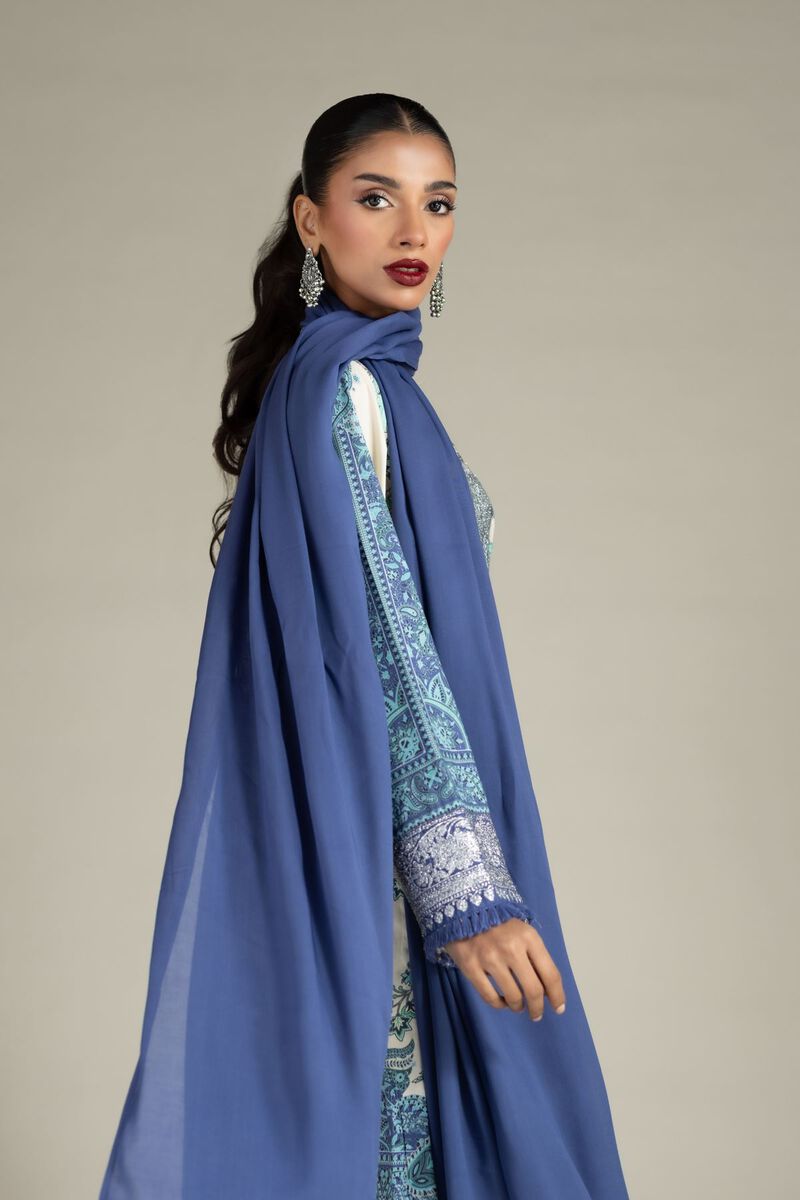 Embroidered | Raw Silk | 3 Piece Co-ord Set | USD 50.00