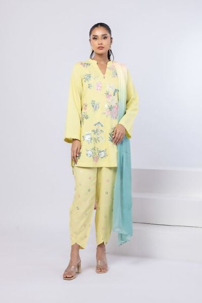 Embroidered | Dull Raw Silk | Pants | USD 18.00