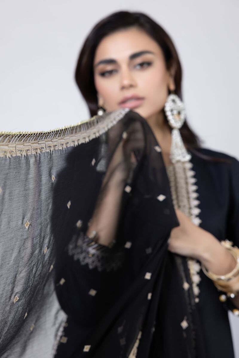 Embroidered | Chiffon | Dupatta | null