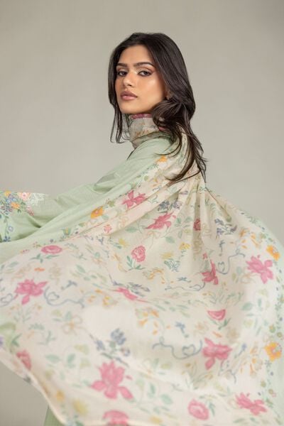 Embroidered | Cotton Net | Cotton Net Dupatta | USD 25.00