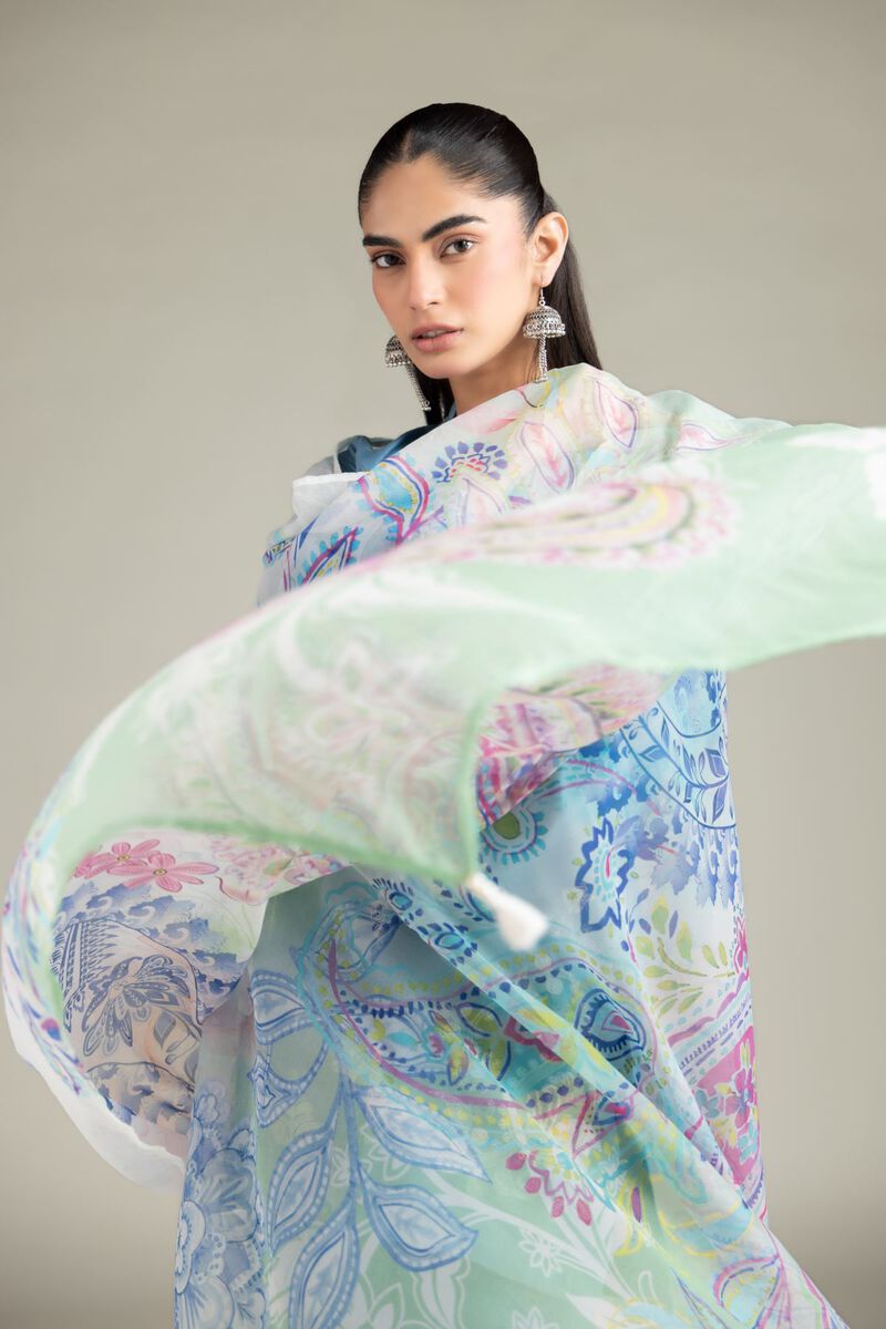 Embroidered | Chiffon | Dupatta | USD 25.00