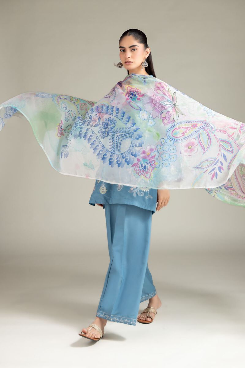 Embroidered | Chiffon | Dupatta | USD 25.00