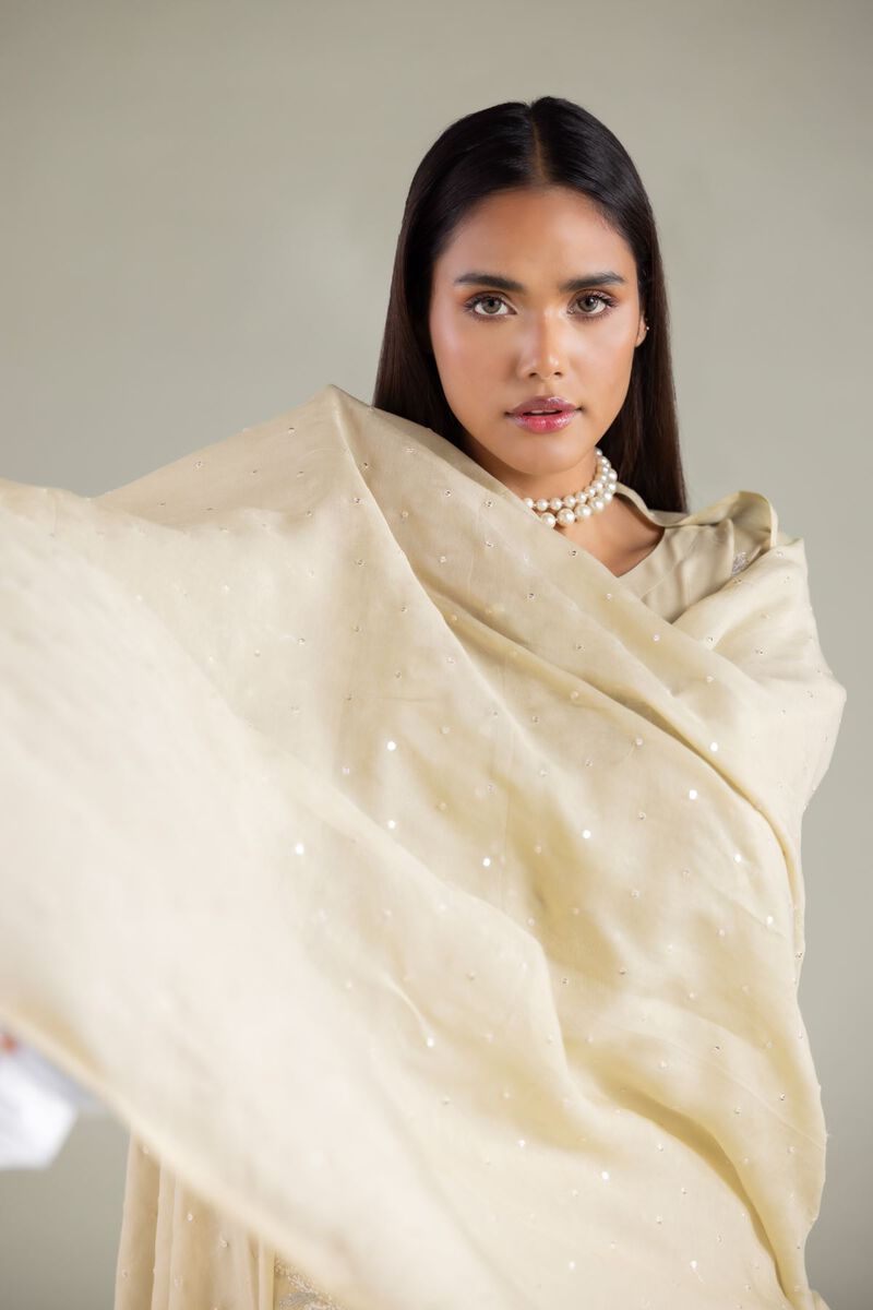 Embroidered | Raw Silk | Embellished Dupatta | USD 45.00