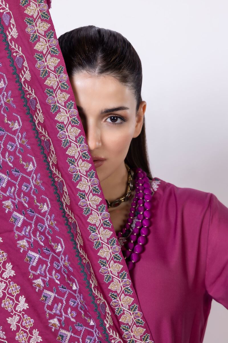 Embroidered | Light Oak Silk | Dupatta | null