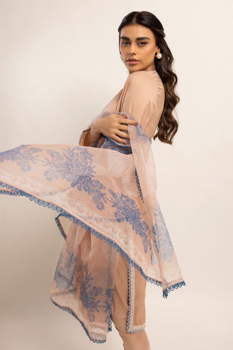  | Dupatta | null