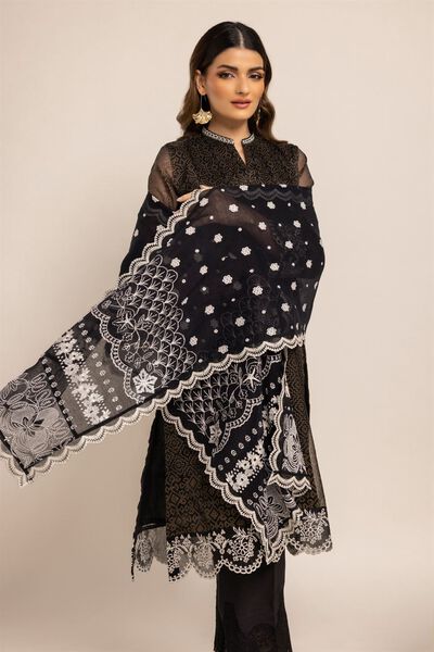Embroidered Net Stole