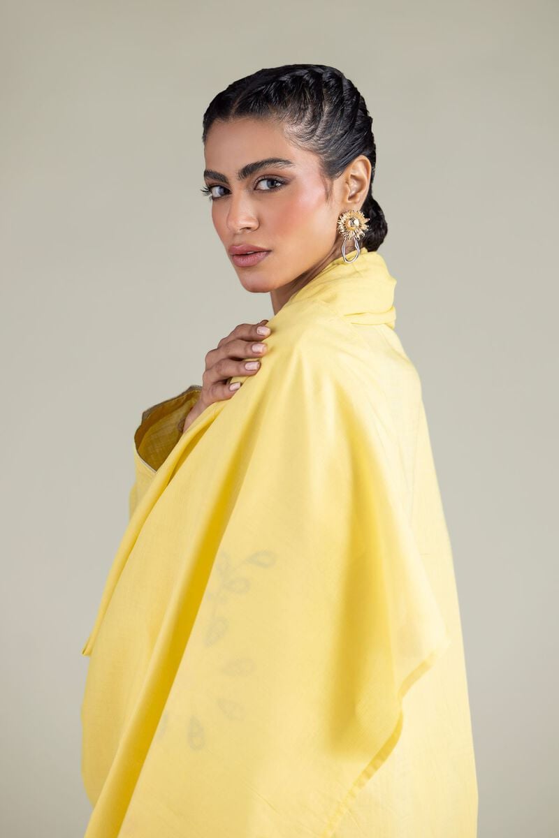 Embroidered | Textured Cotton | Dupatta | USD 25.00